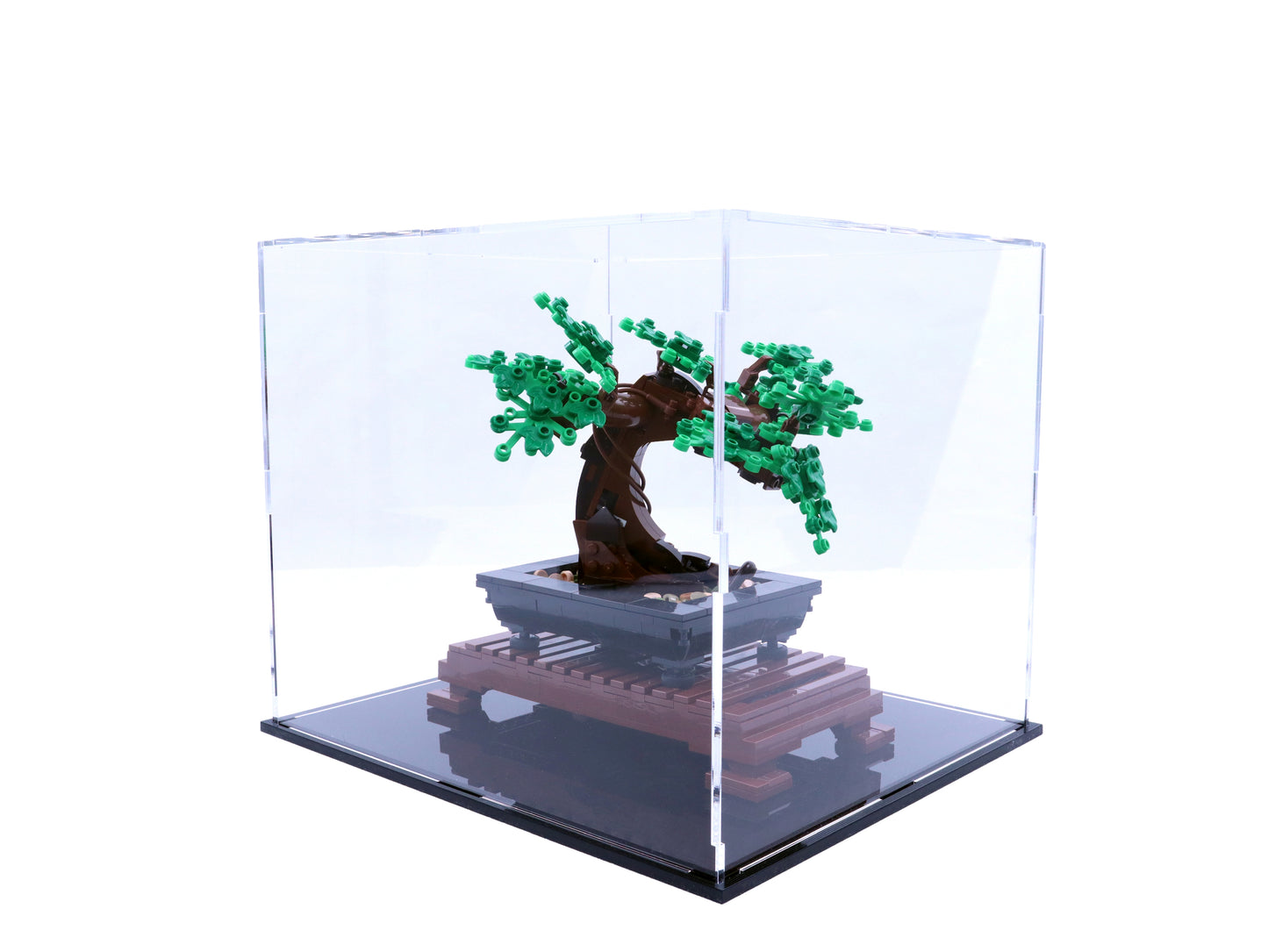 Vitrine für Bonsai Baum (10281)