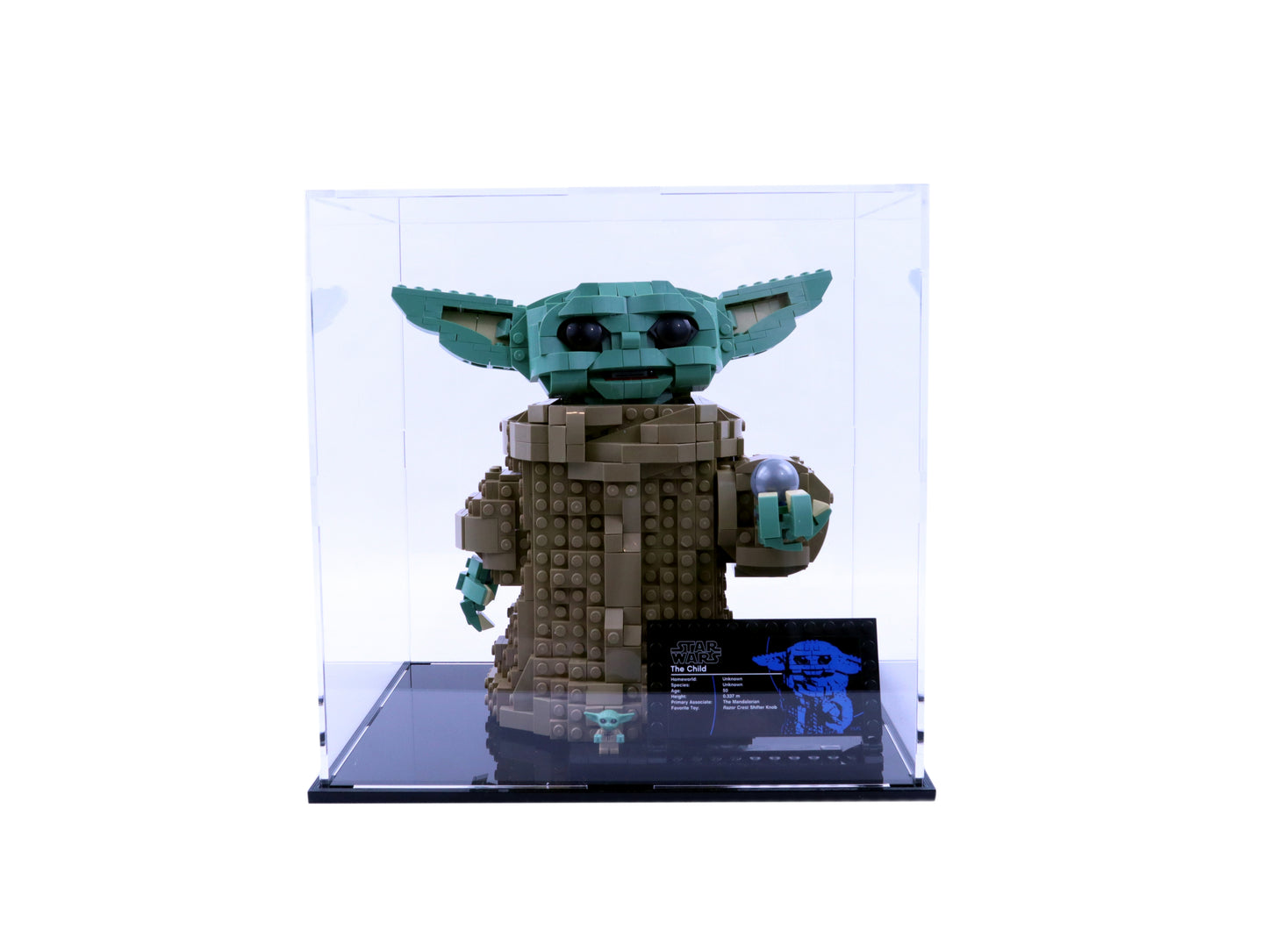 Das Kind (75318) Vitrine