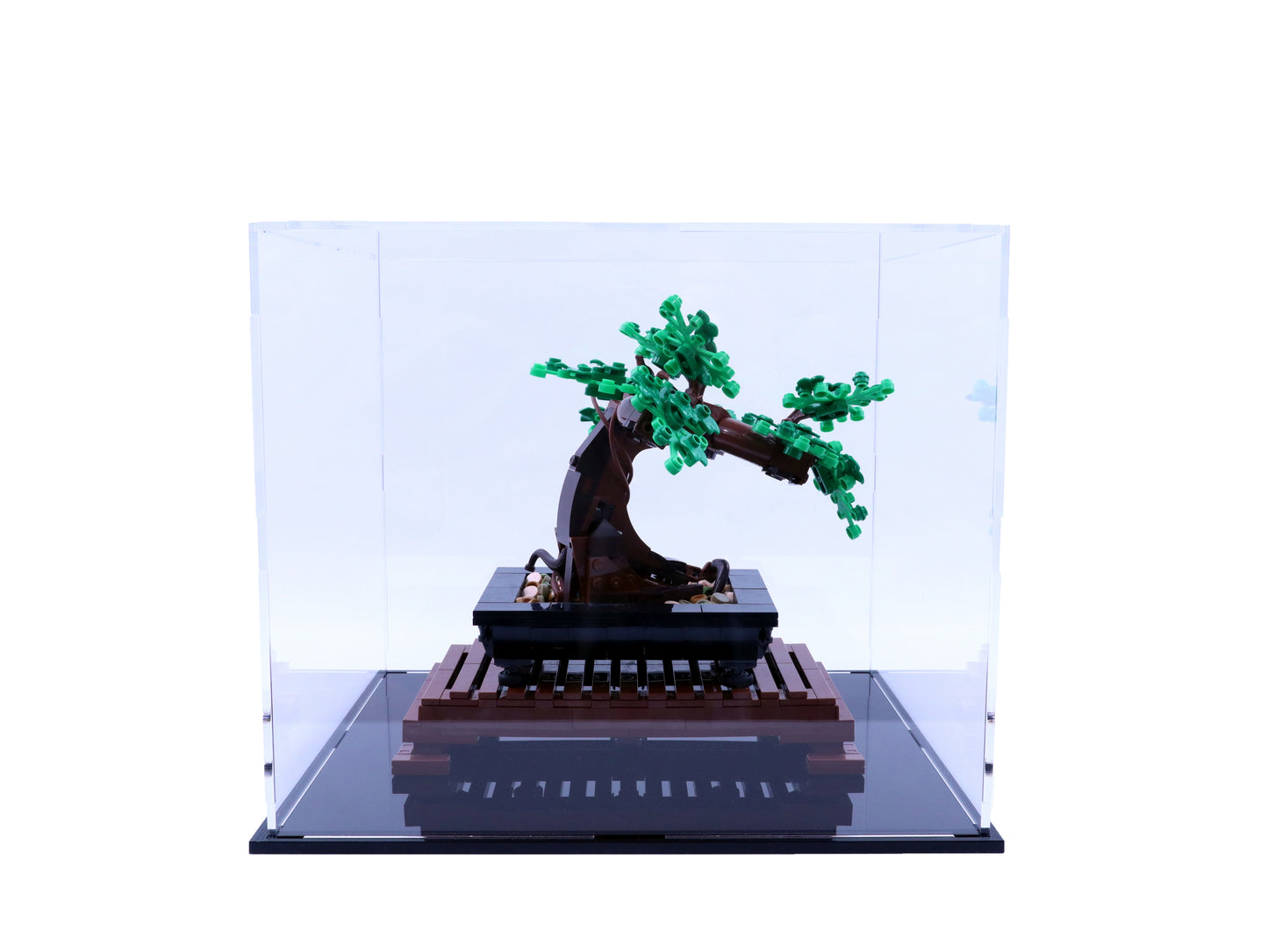 Bonsai tree (10281) display case