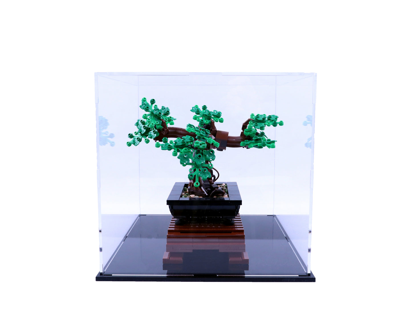 Bonsai tree (10281) display case